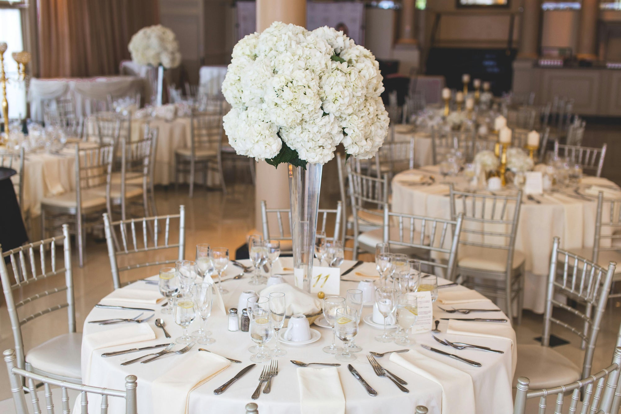 9 White Wedding Flowers: Timeless Bloom For Your Big Day