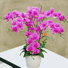 6 Artificial Purple Phalaenopsis Orchid Table Arrangement About 80cm Height