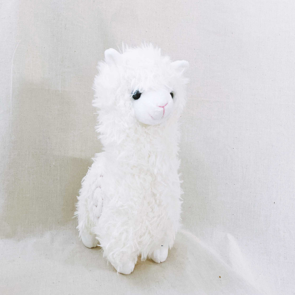 Alpaca