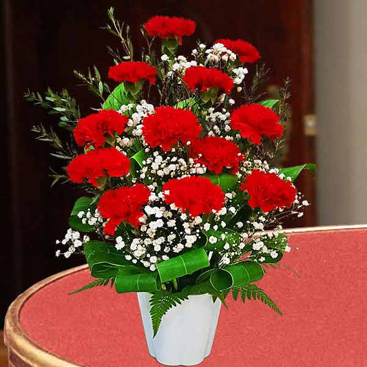 12 Red Carnations in Vase