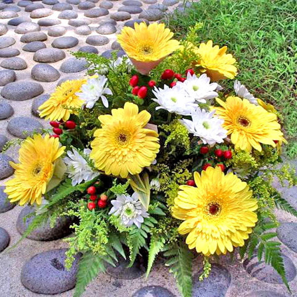 10 Yellow Gerbera all Round Arrangement