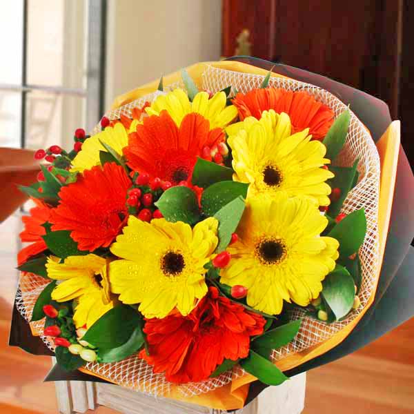 12 Mixed Gerbera Hand Bouquet