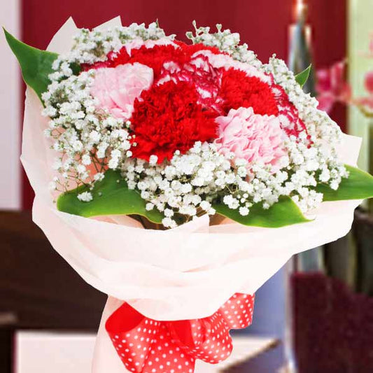 12 Mixed Carnations Posy