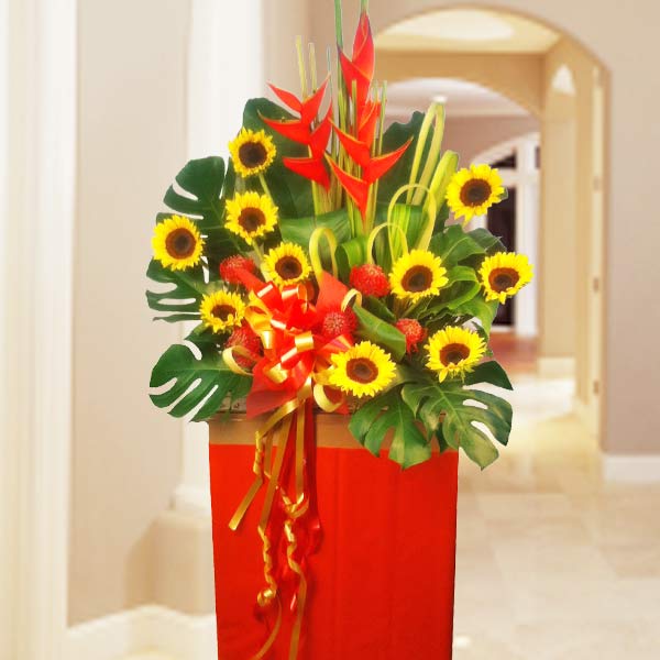 10 Sunflowers Arrangement in Box Stand