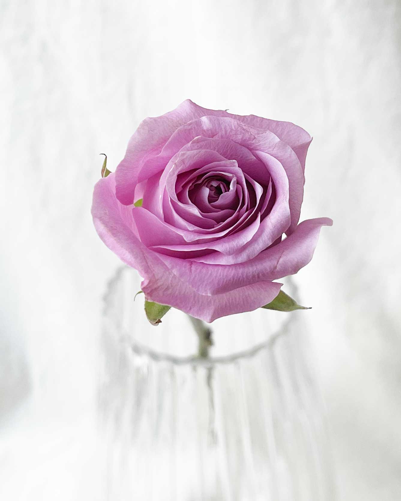 Flower Girl Basket