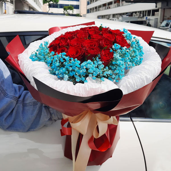 38 Red Roses With Blue Baby's Breath Handbouquet