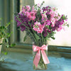 Matthiola Flowers In Glass Vase