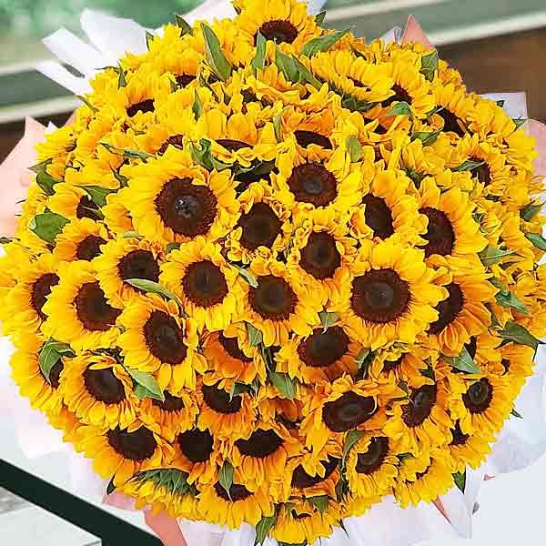 99 Sunflower Standing Hand Bouquet