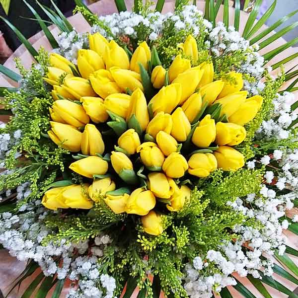 50 Yellow Tulips Hand Bouquet With Baby&#39;s Breath