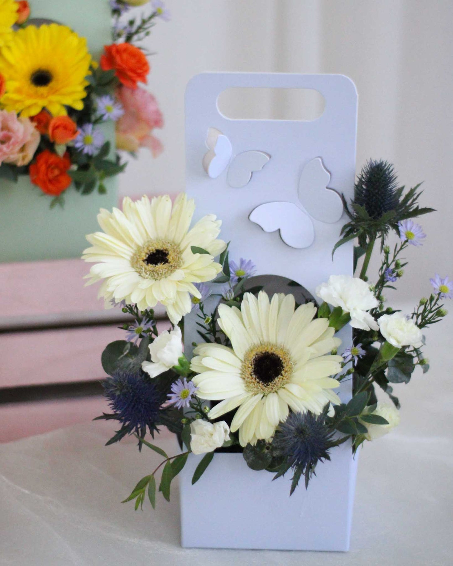 Dempsey Daisy White Box