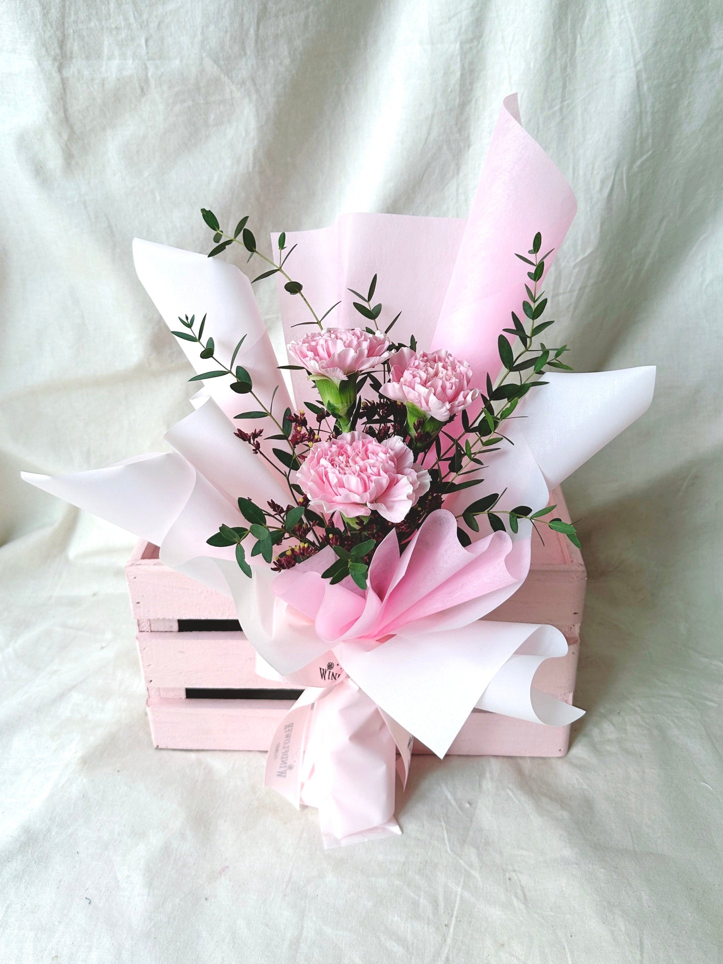 Chio Carnations (Pink)