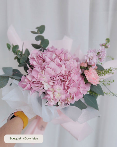 Helix Hydrangea Pink