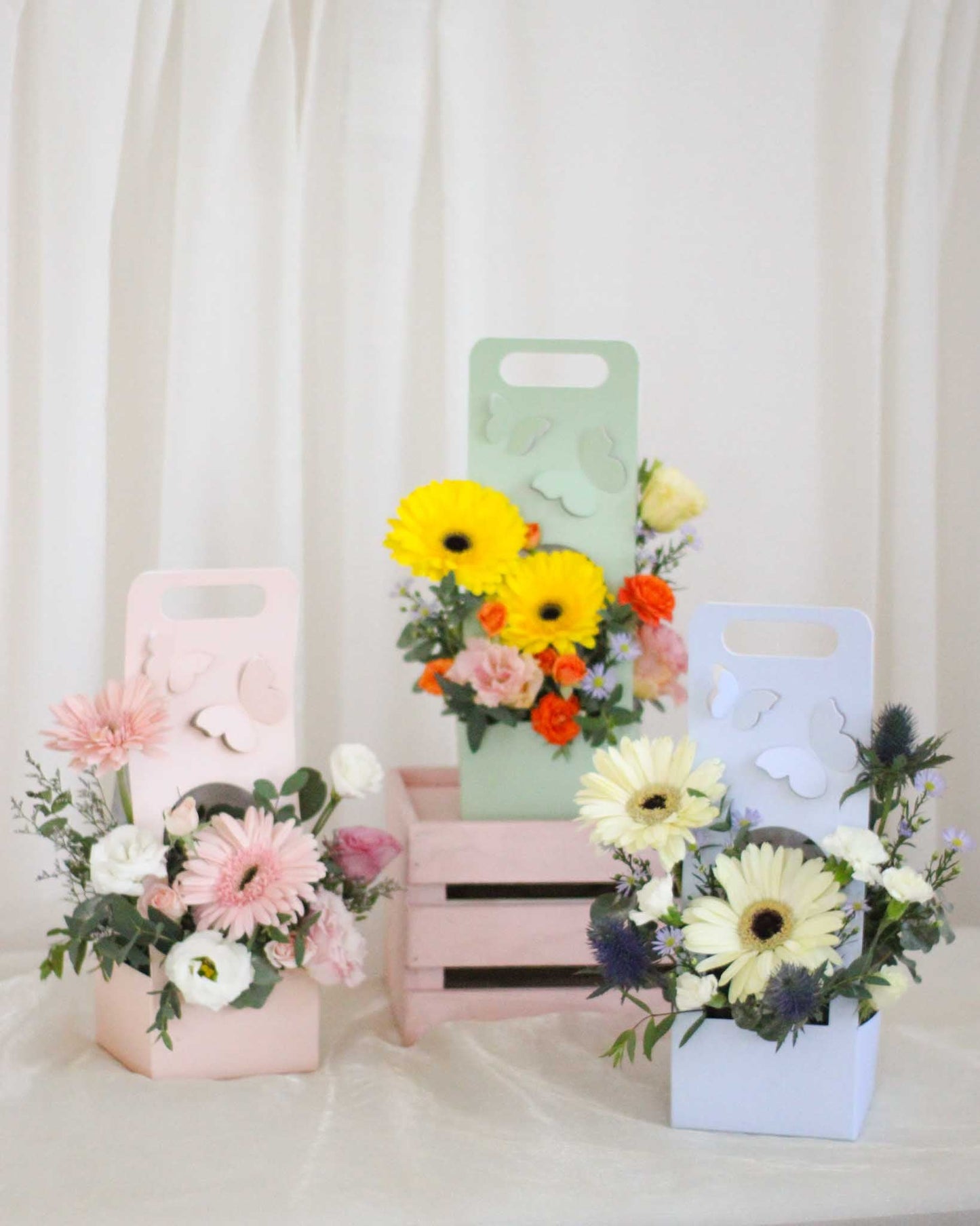 Dempsey Daisy Pink Box